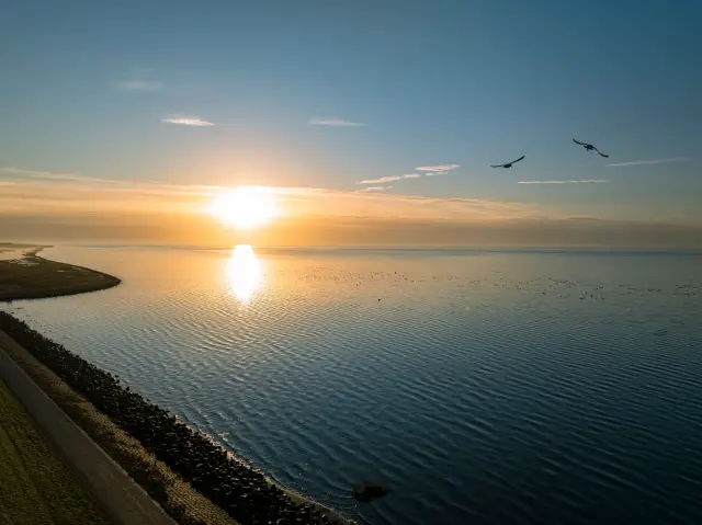 DJI 0037