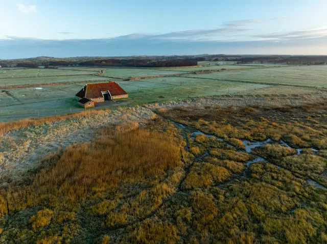 DJI 0040