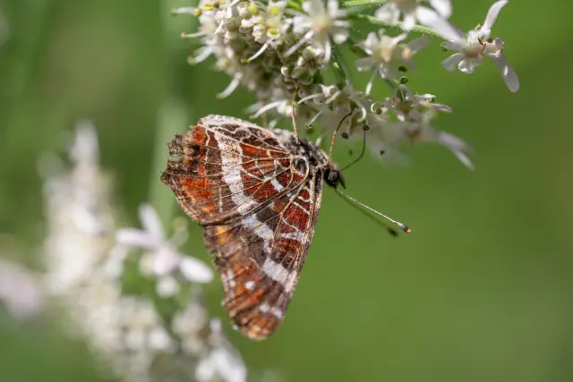 DSC9769